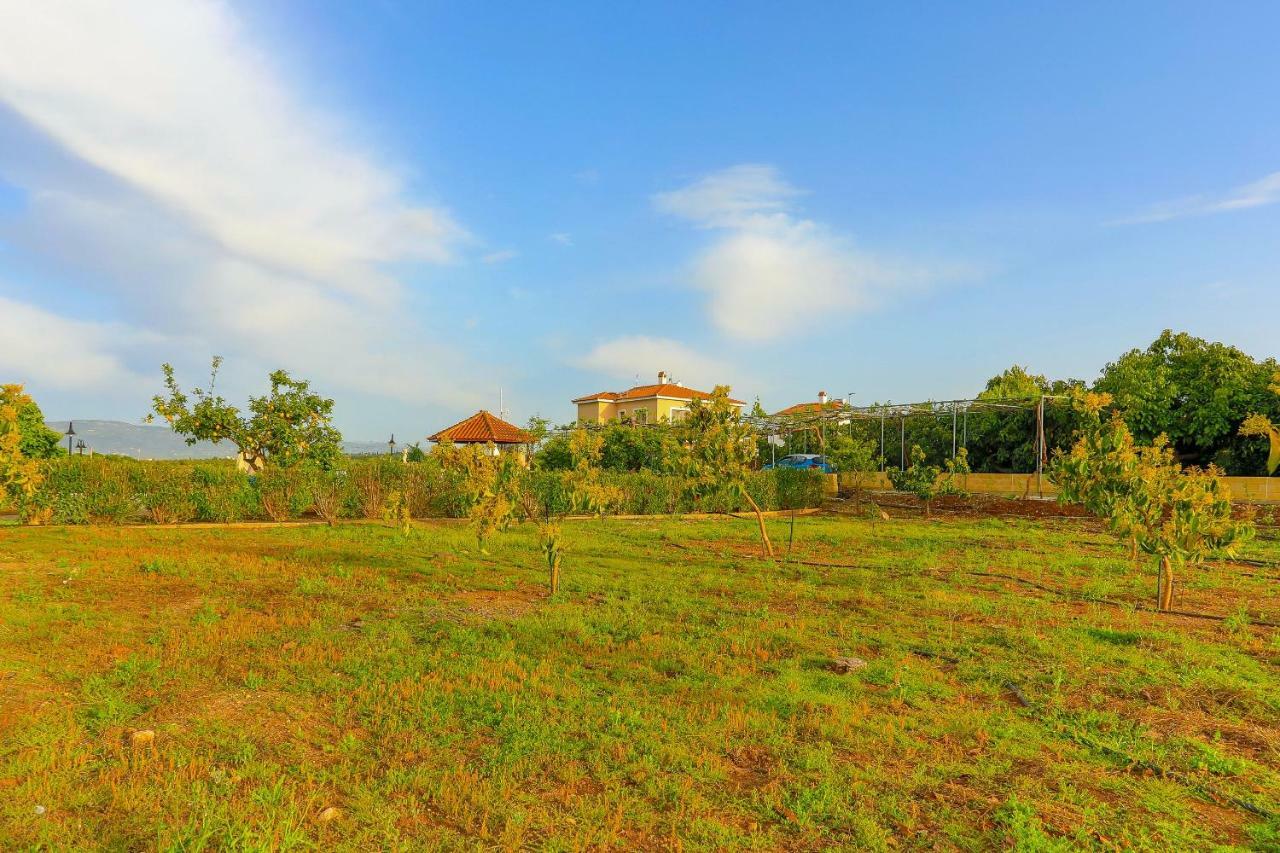 Villa Athina Finiki Polis Exteriör bild